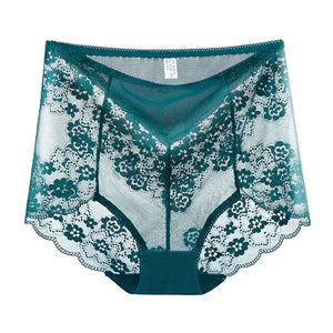 Sinvera Plus Size Lace Brief – High Waist Transparent Comfort Panty for Women