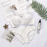 Lace Wireless Bra & Panty Set – Push-Up, Soft and Comfortable Lingerie