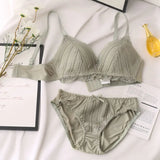 Sinvera Lace Push-Up Bra & Panty Set – Embroidered Plus Size Lingerie (ABC Cup)