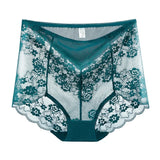 Sinvera Plus Size Lace Brief – High Waist Transparent Comfort Panty for Women