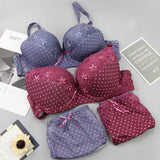 Plus Size Lace Push-Up Bra & Panty Set – Padded BCDE Cup Lingerie for Women