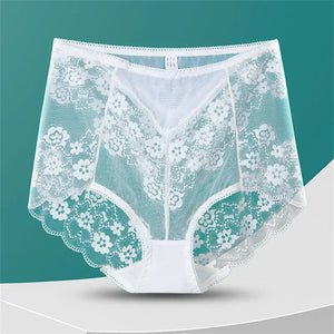 Sinvera Plus Size Lace Brief – High Waist Transparent Comfort Panty for Women